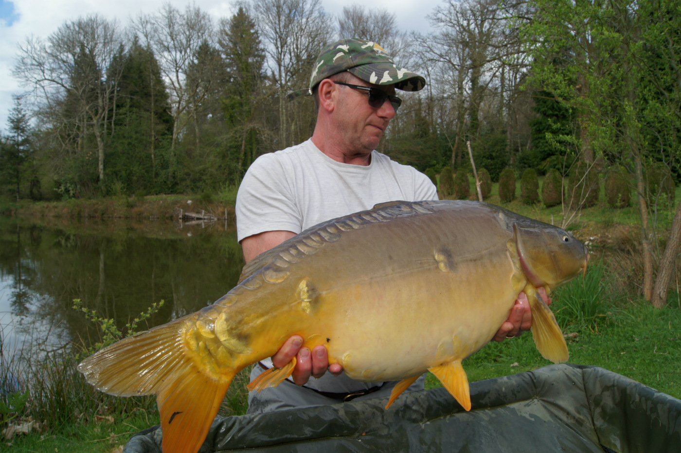 Mirror carp caught at The Cabin Lake, Lodge Lakes