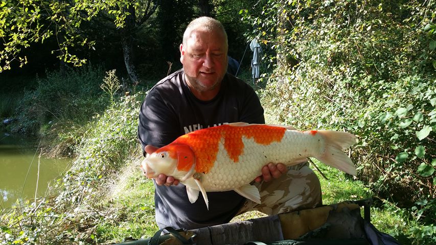 Mirror carp from The Cabin Lake near Nantiat
