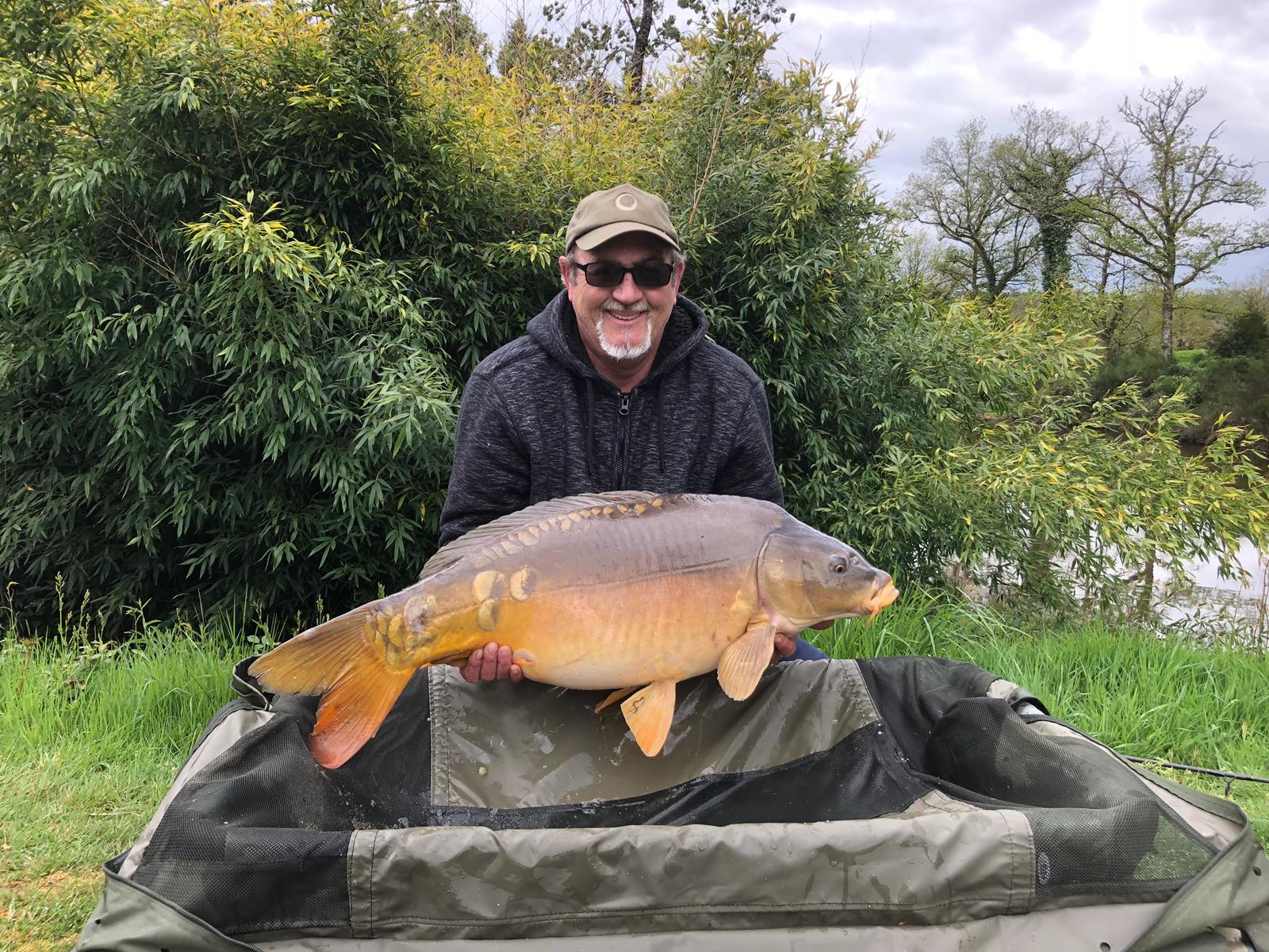 Healthy carp stock at The Cabin Lake