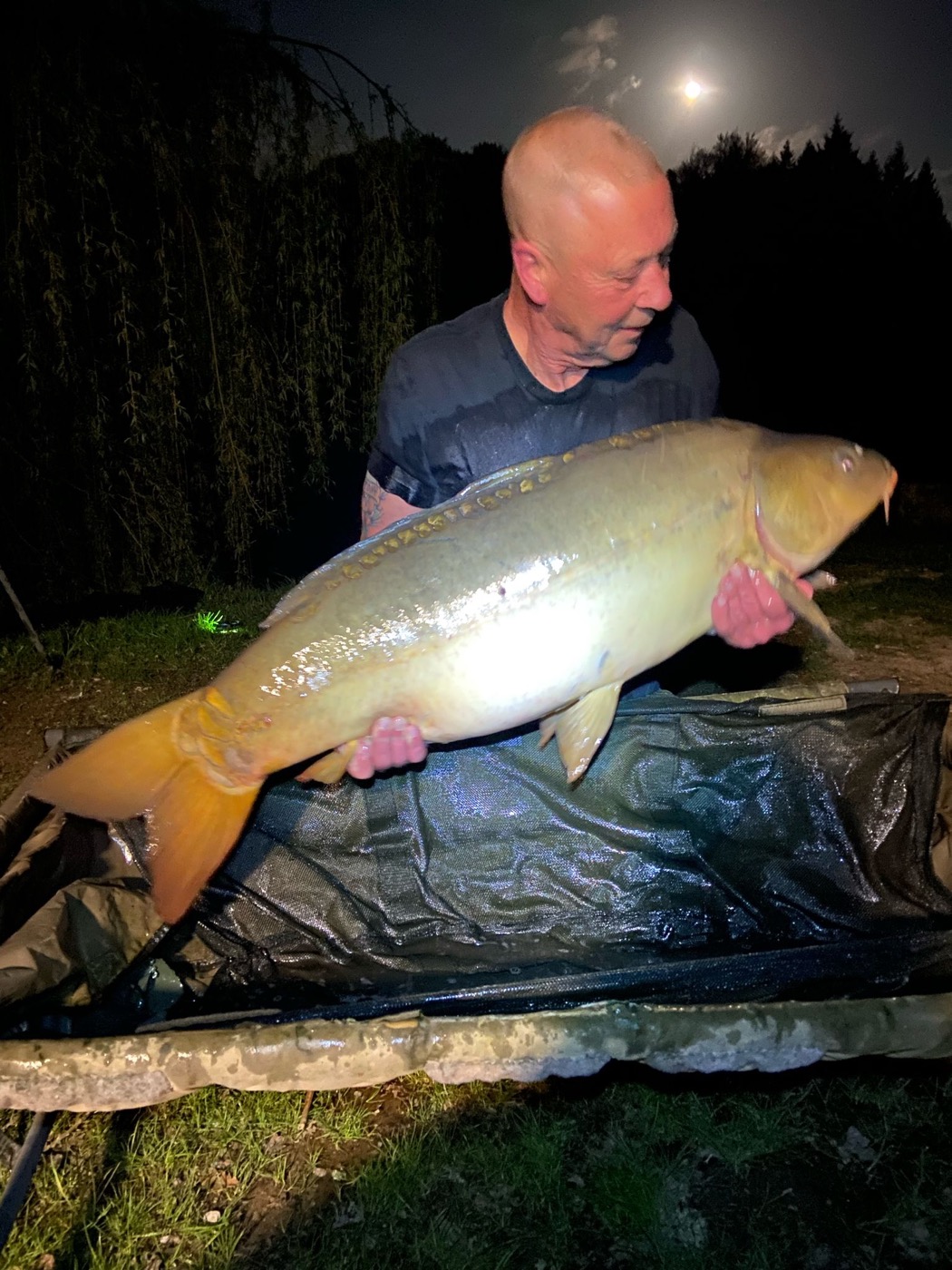 44lb mirror carp caught at night at Lodge Lakes
