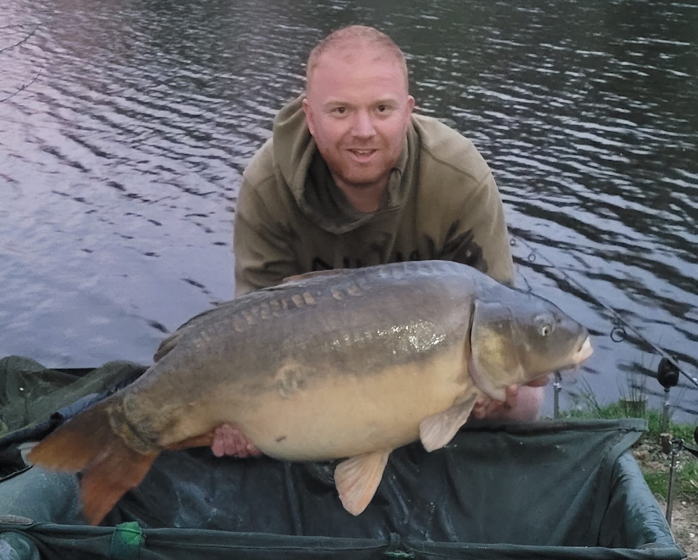 46lb mirror carp caught at dusk at Lodge Lakes