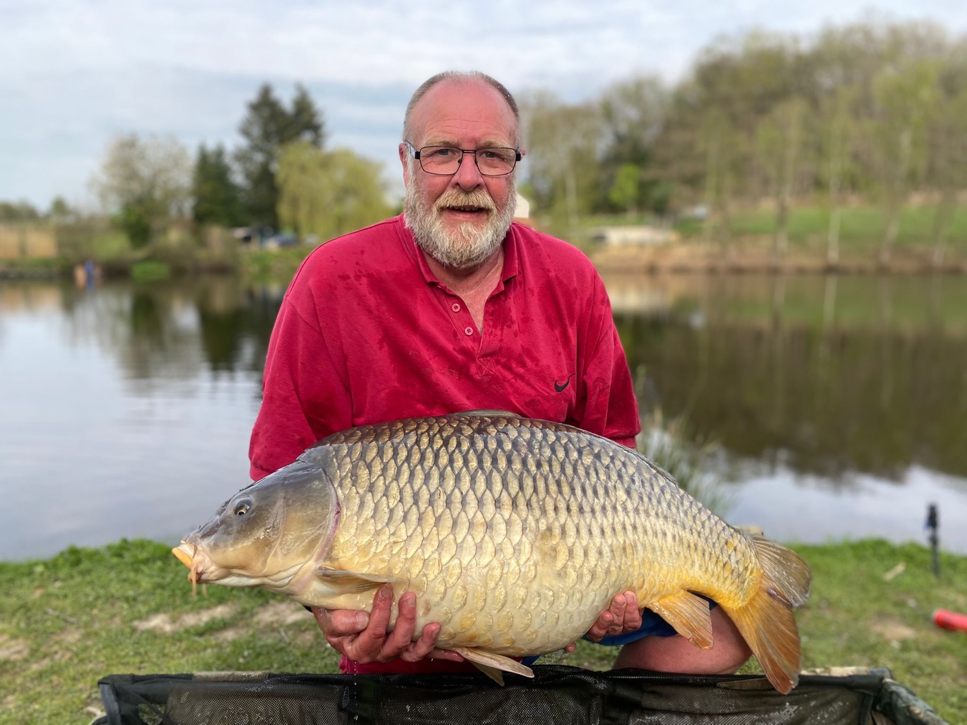 50lb common carp held on the bank at Lodge Lakes