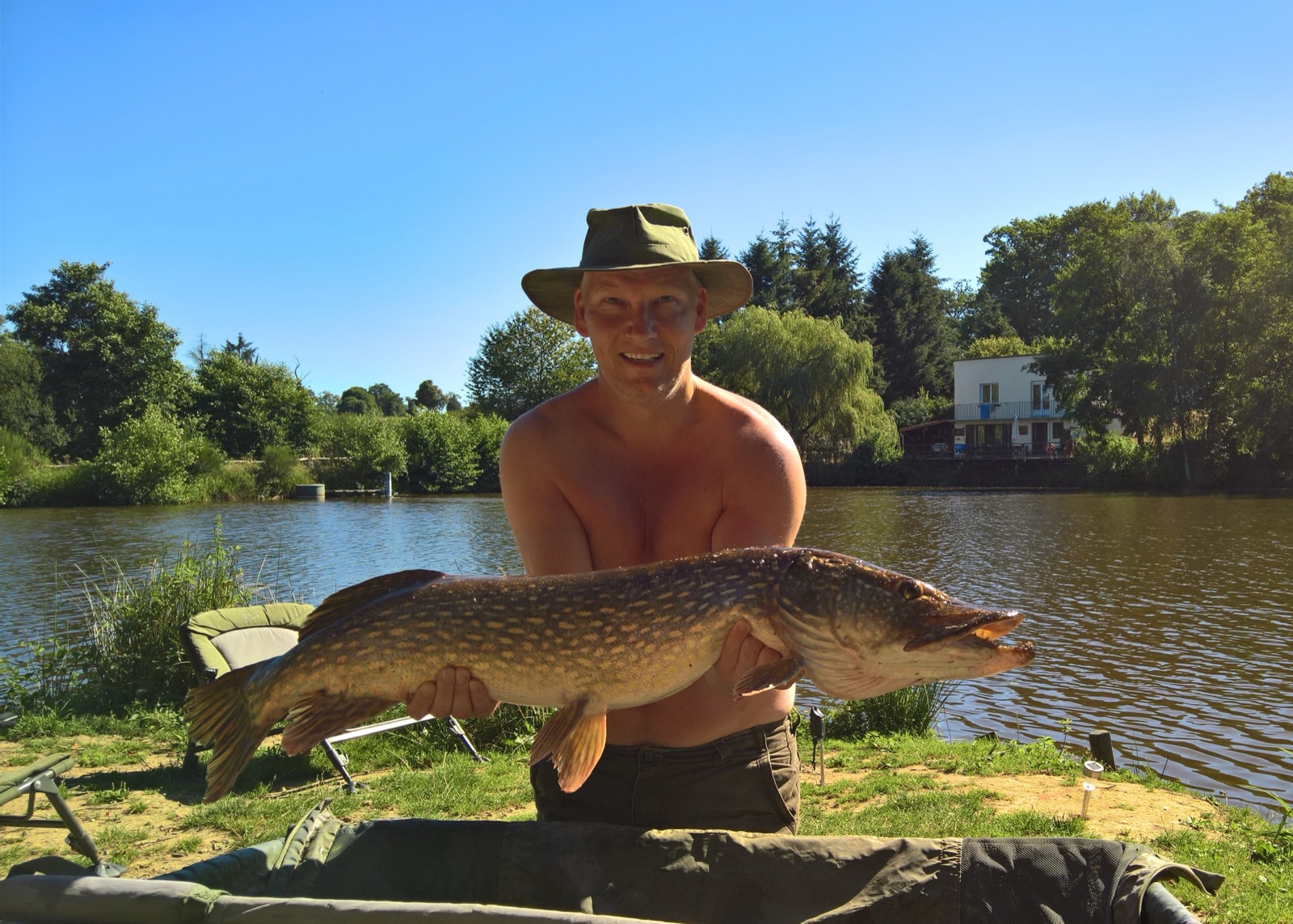 Mirror carp from The Lodge Lake stock