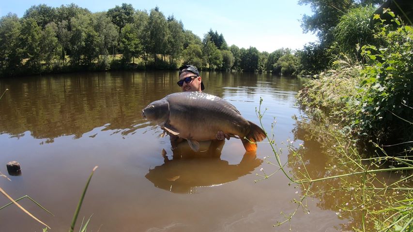 Evening mirror carp at The Lodge Lake