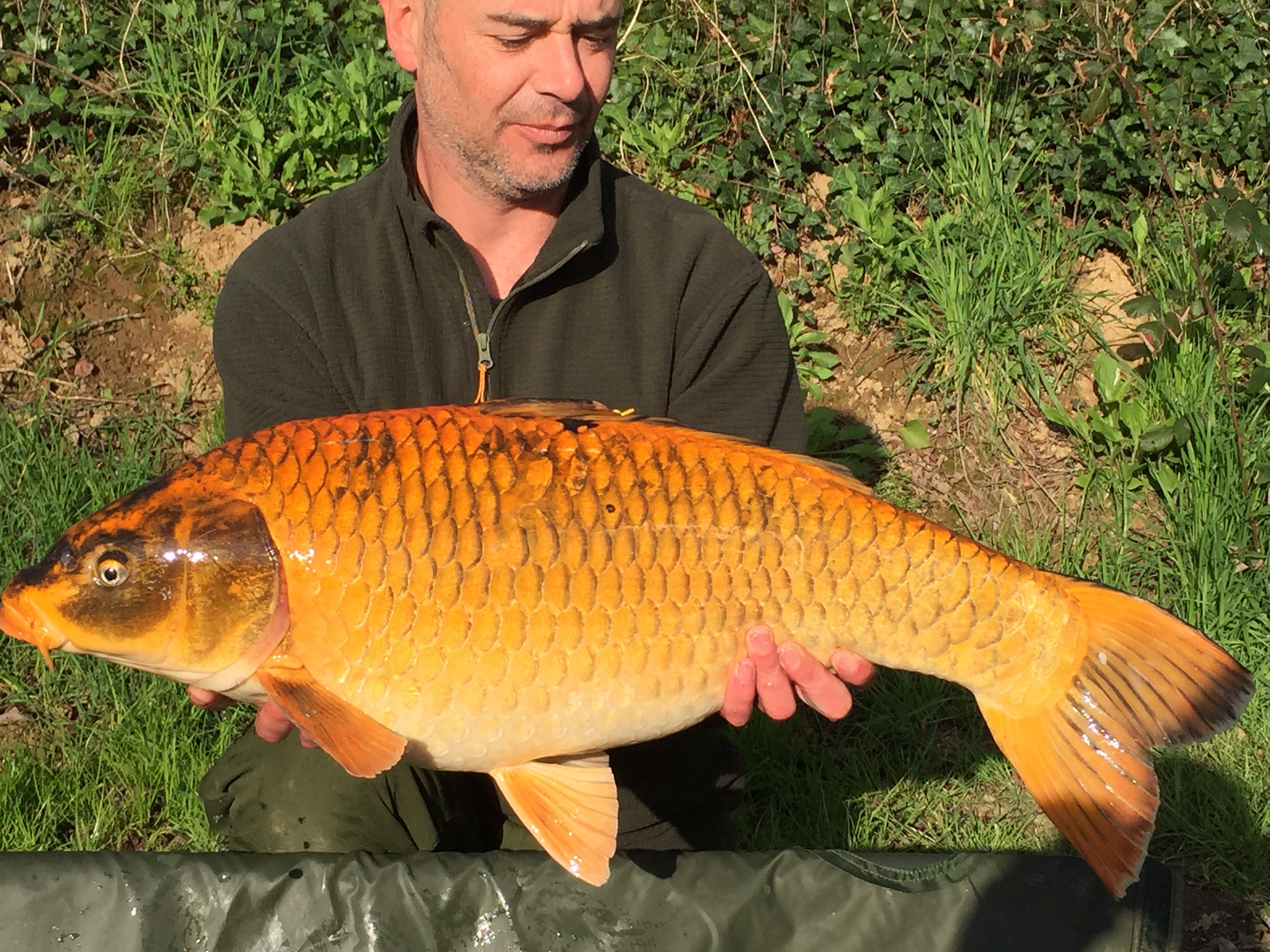 Carp caught at Lodge Lakes French carp fishing holiday — 29hrs from Ulster