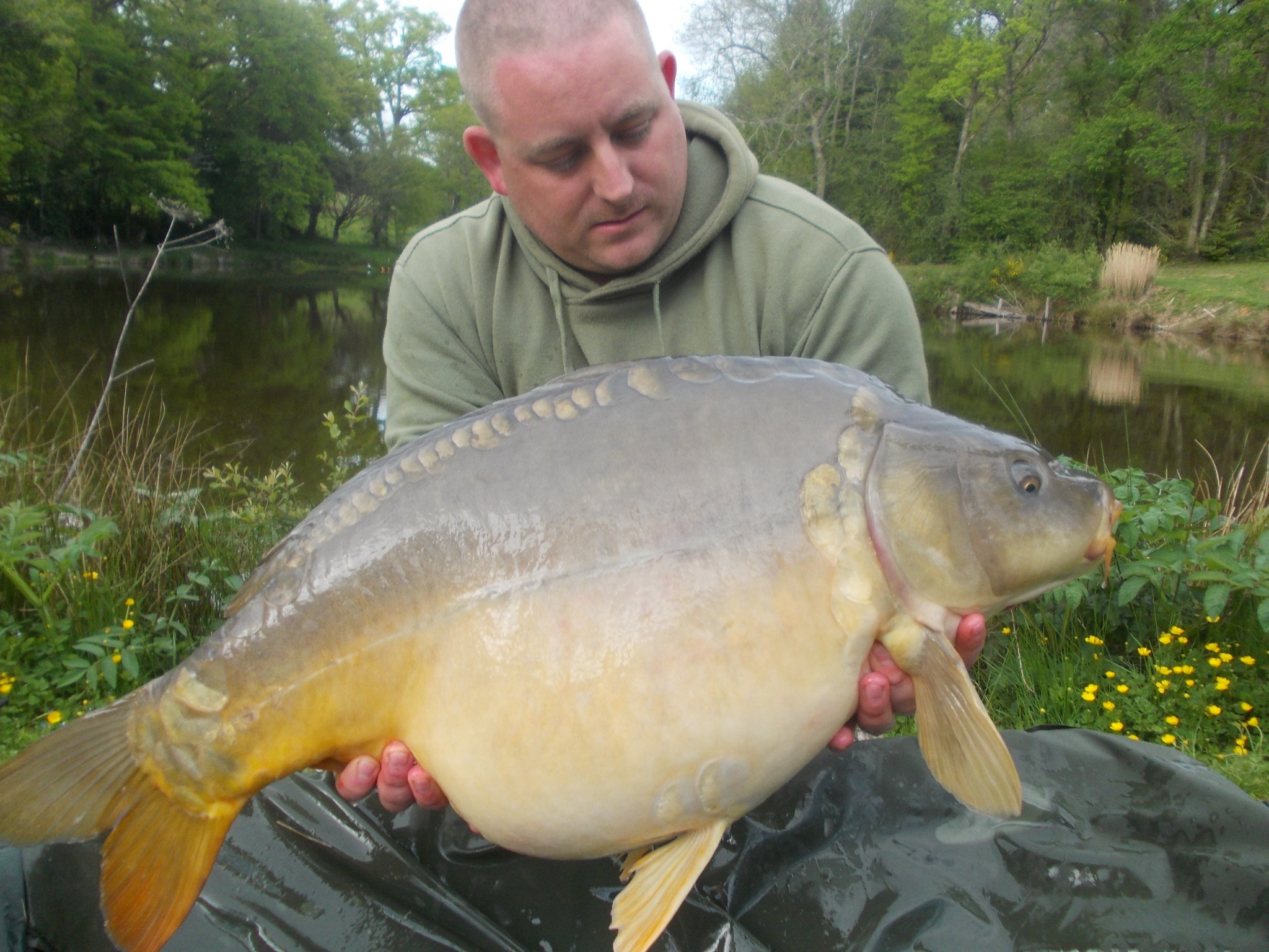Boswells_2013