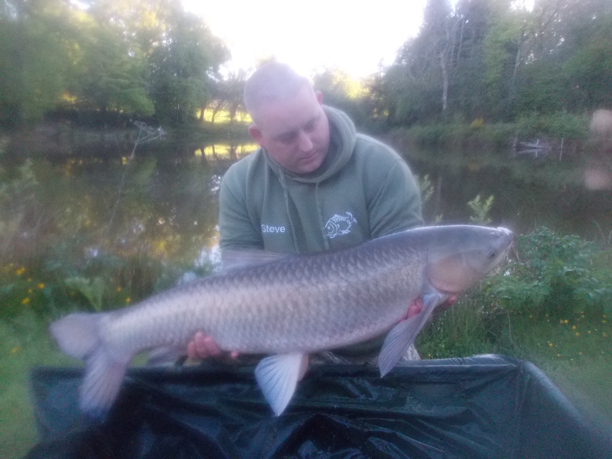 Carp caught at Lodge Lakes French carp fishing holiday — The Boswells