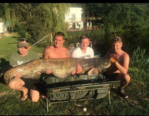 Carp caught at Lodge Lakes French carp fishing holiday — Cock or Ball