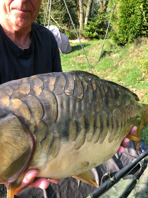 Carp caught at Lodge Lakes French carp fishing holiday — Stuart, Roger, Ben