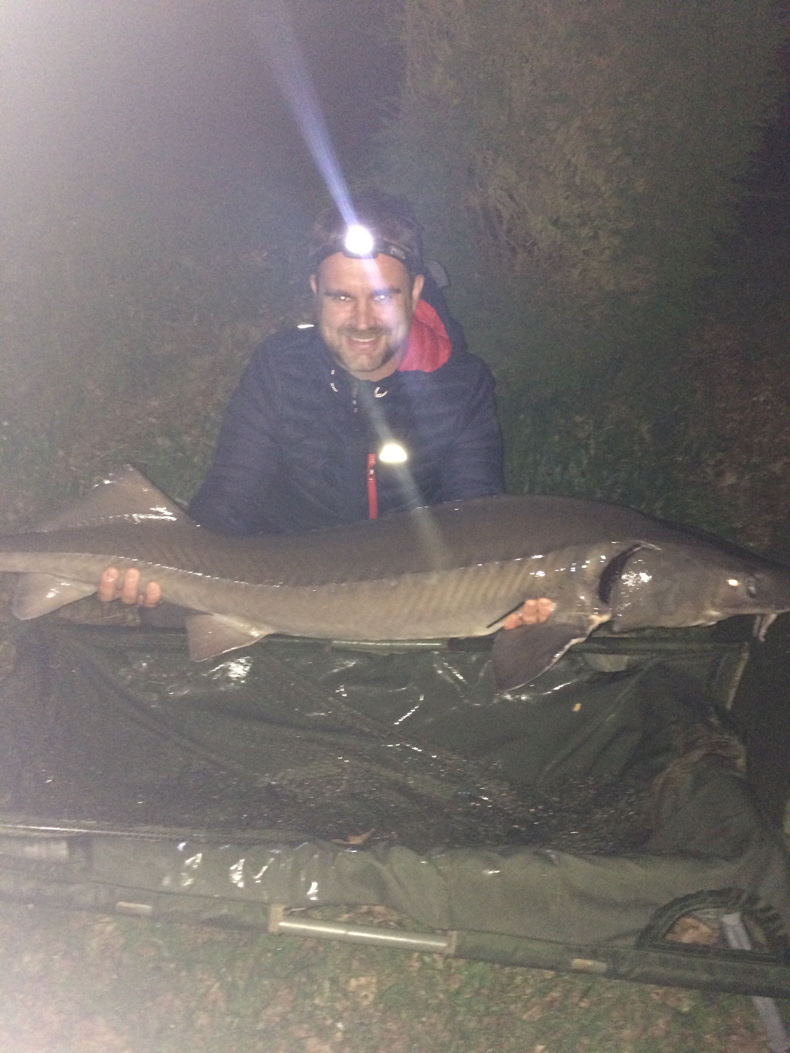 Carp caught at Lodge Lakes French carp fishing holiday — Gaz & Dave 40 Year Birthday Trip