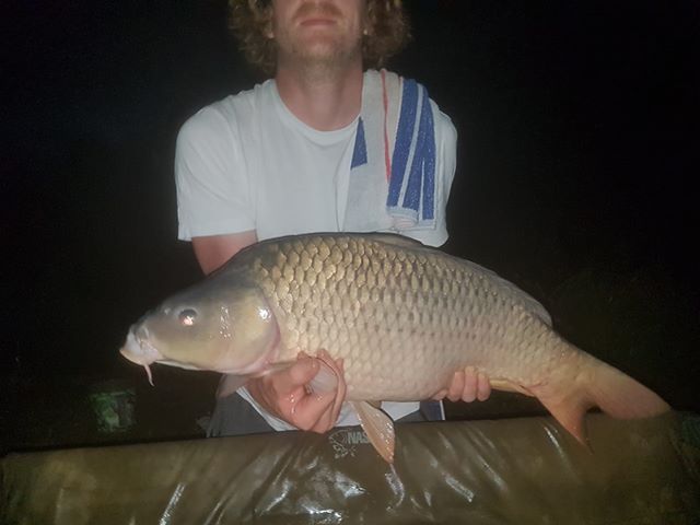 arne30