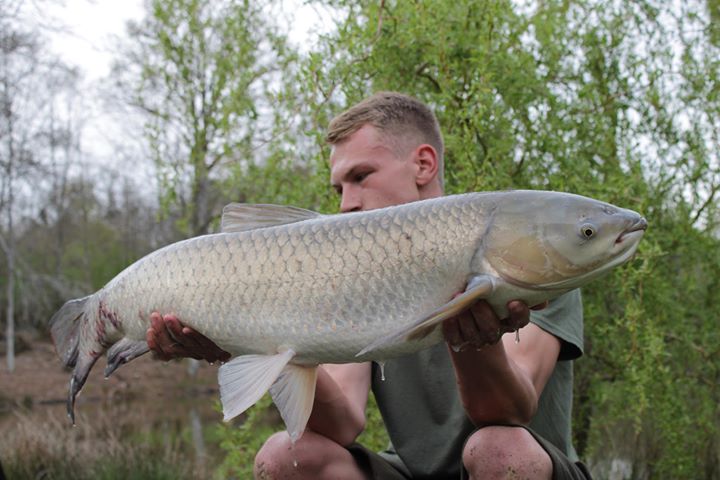 Carp caught at Lodge Lakes French carp fishing holiday — The Lamb Brothers