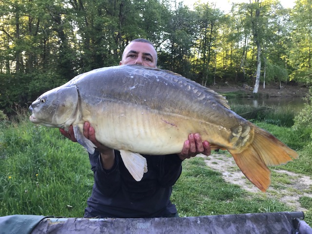 Carp caught at Lodge Lakes French carp fishing holiday — Team Hornby