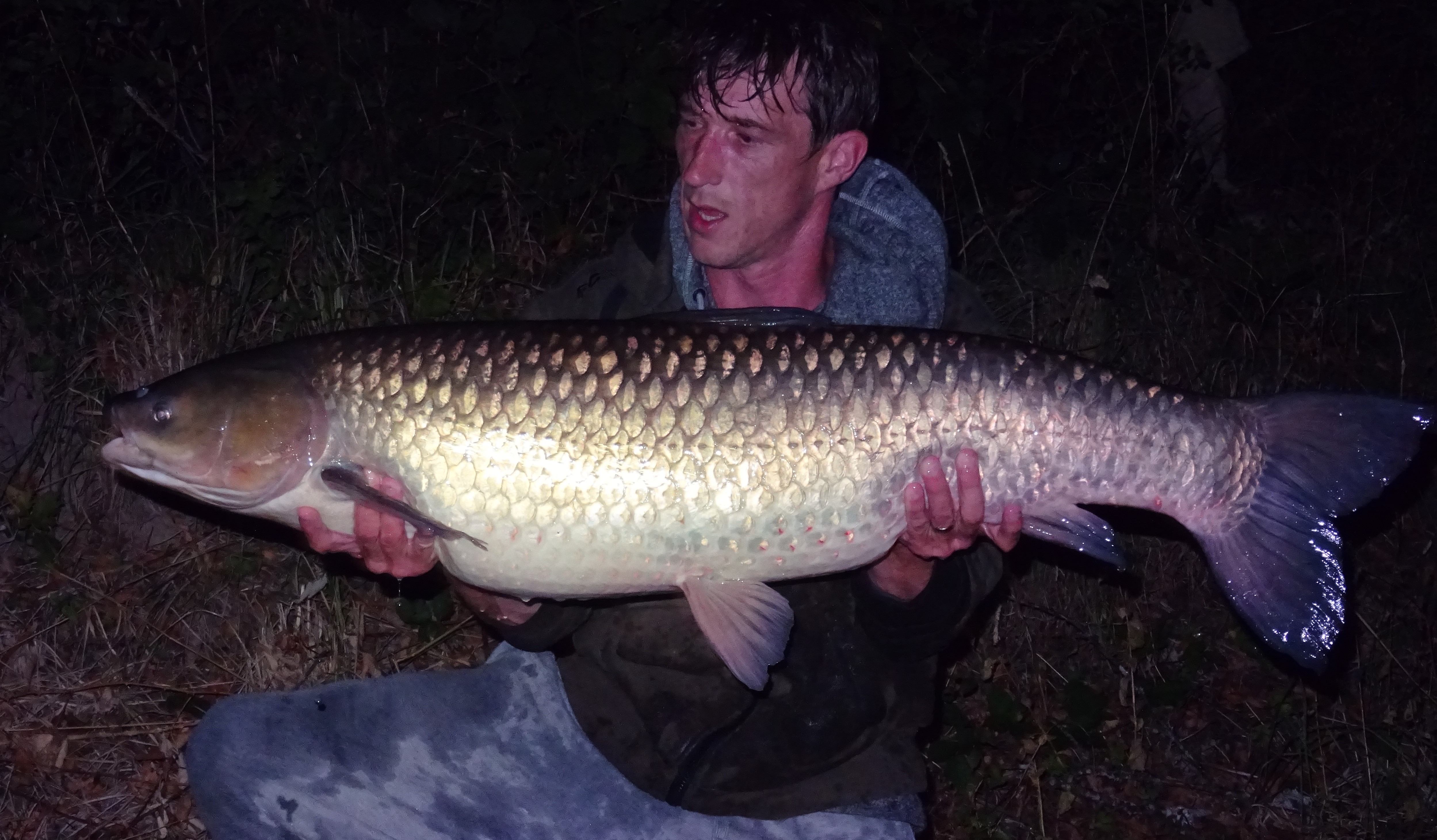 Carp caught at Lodge Lakes French carp fishing holiday — The Big Fish Crew