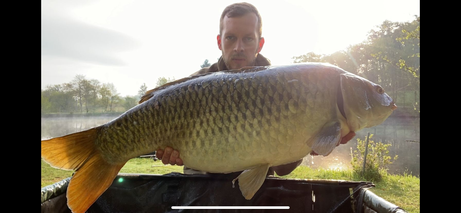 Carp caught at Lodge Lakes French carp fishing holiday — Ollie The Loner