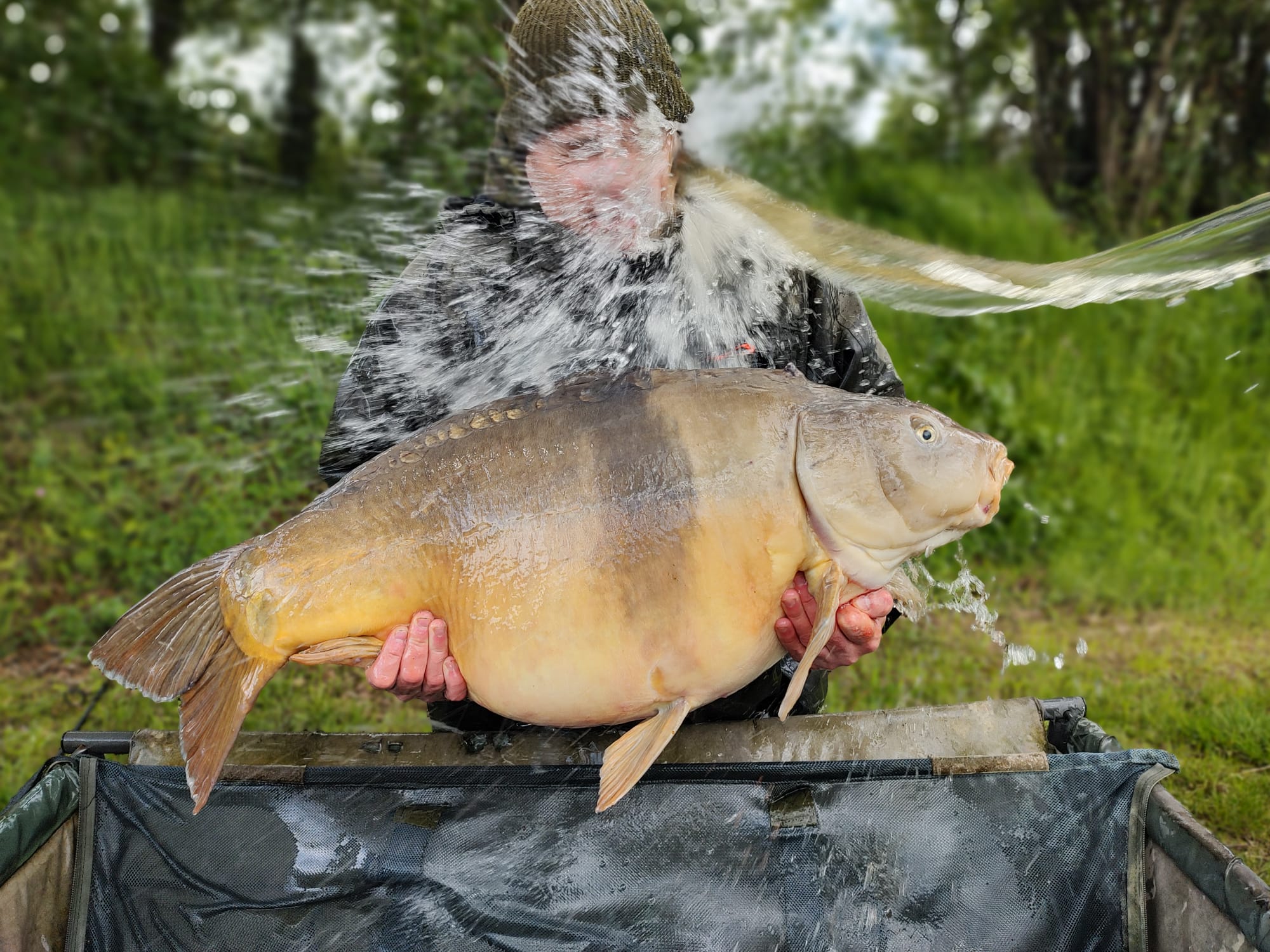 Carp caught at Lodge Lakes French carp fishing holiday — 29 hours from Ulster AKA Tonic 40’s
