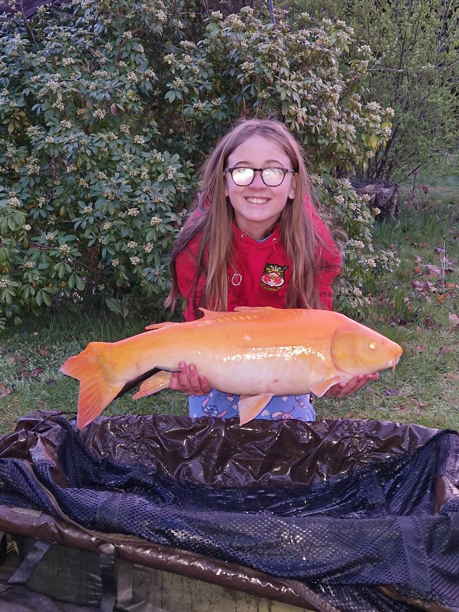 Carp caught at Lodge Lakes French carp fishing holiday — Wrexham Family