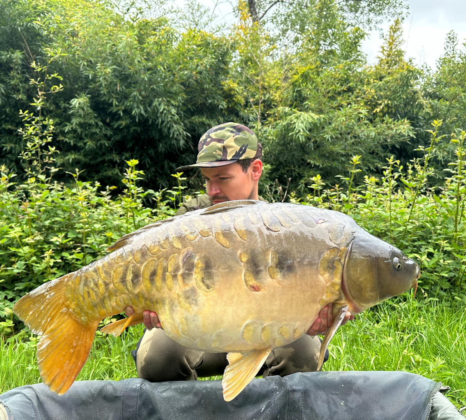 Carp caught at Lodge Lakes French carp fishing holiday — The Wrights